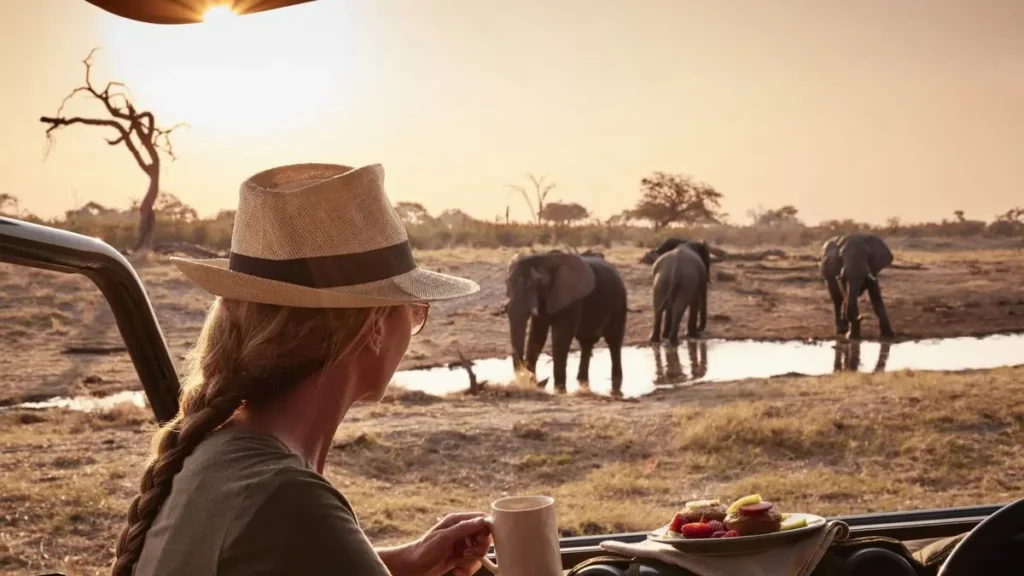 Belmond savute safari lodge
