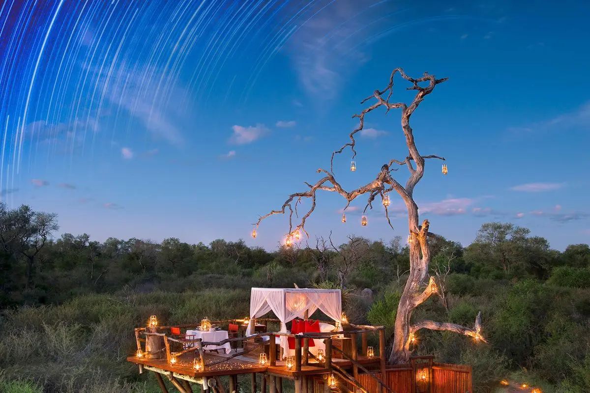 Kingston tree house