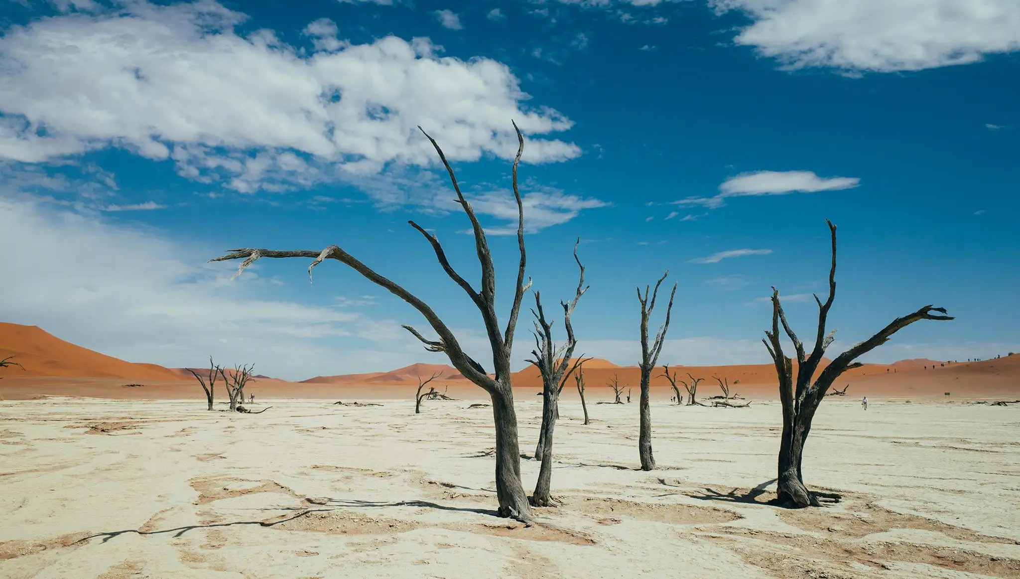Namibia 7 dias (1)