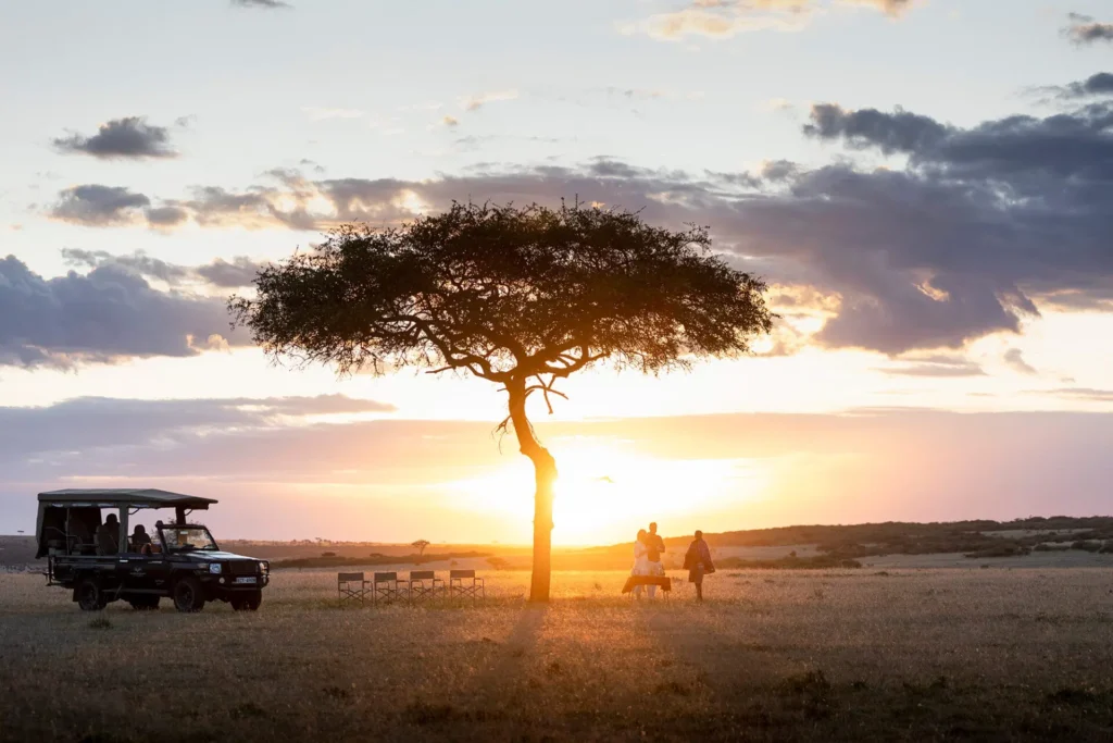 Safari health and safety