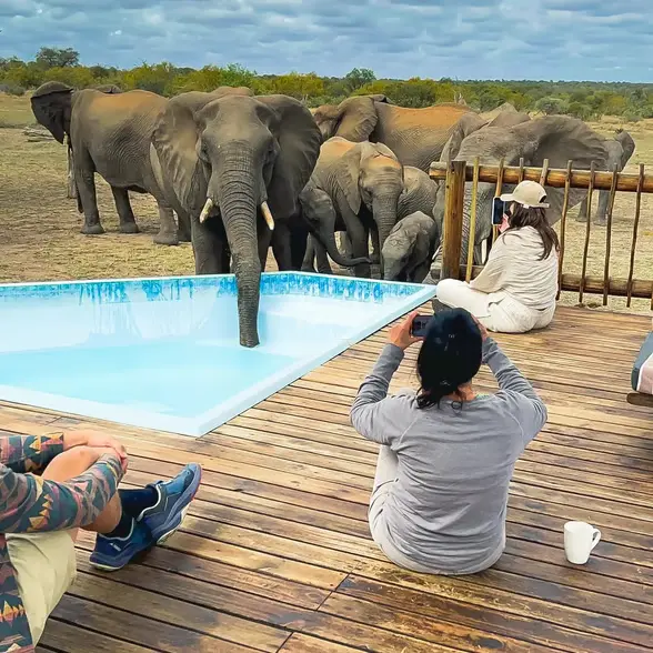 Unique safaris em portugues 5