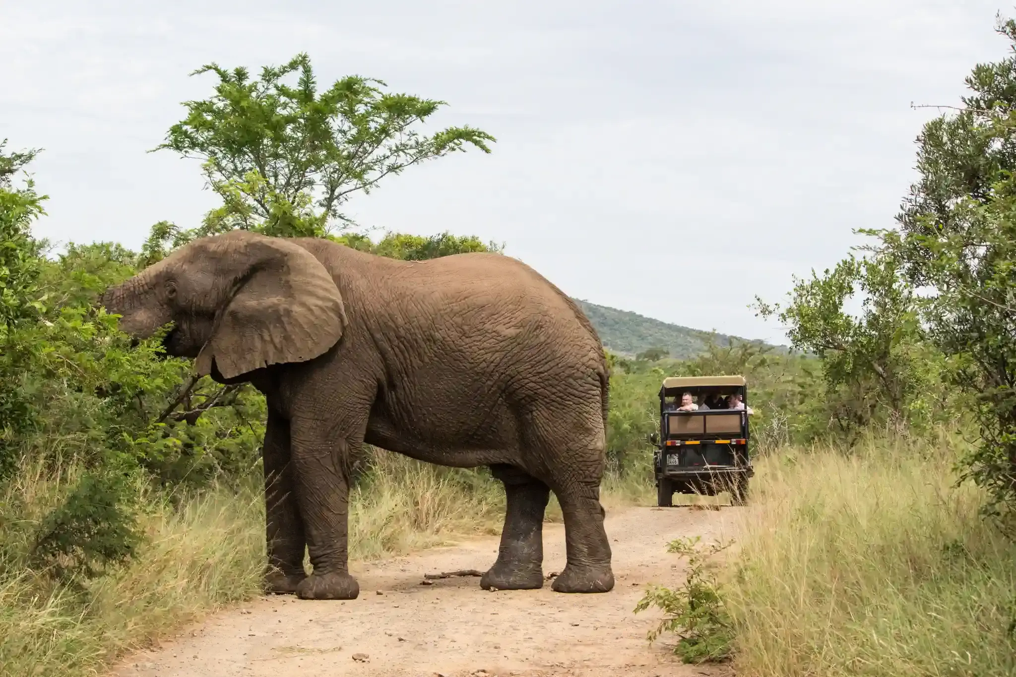 Unique safaris kruger 23