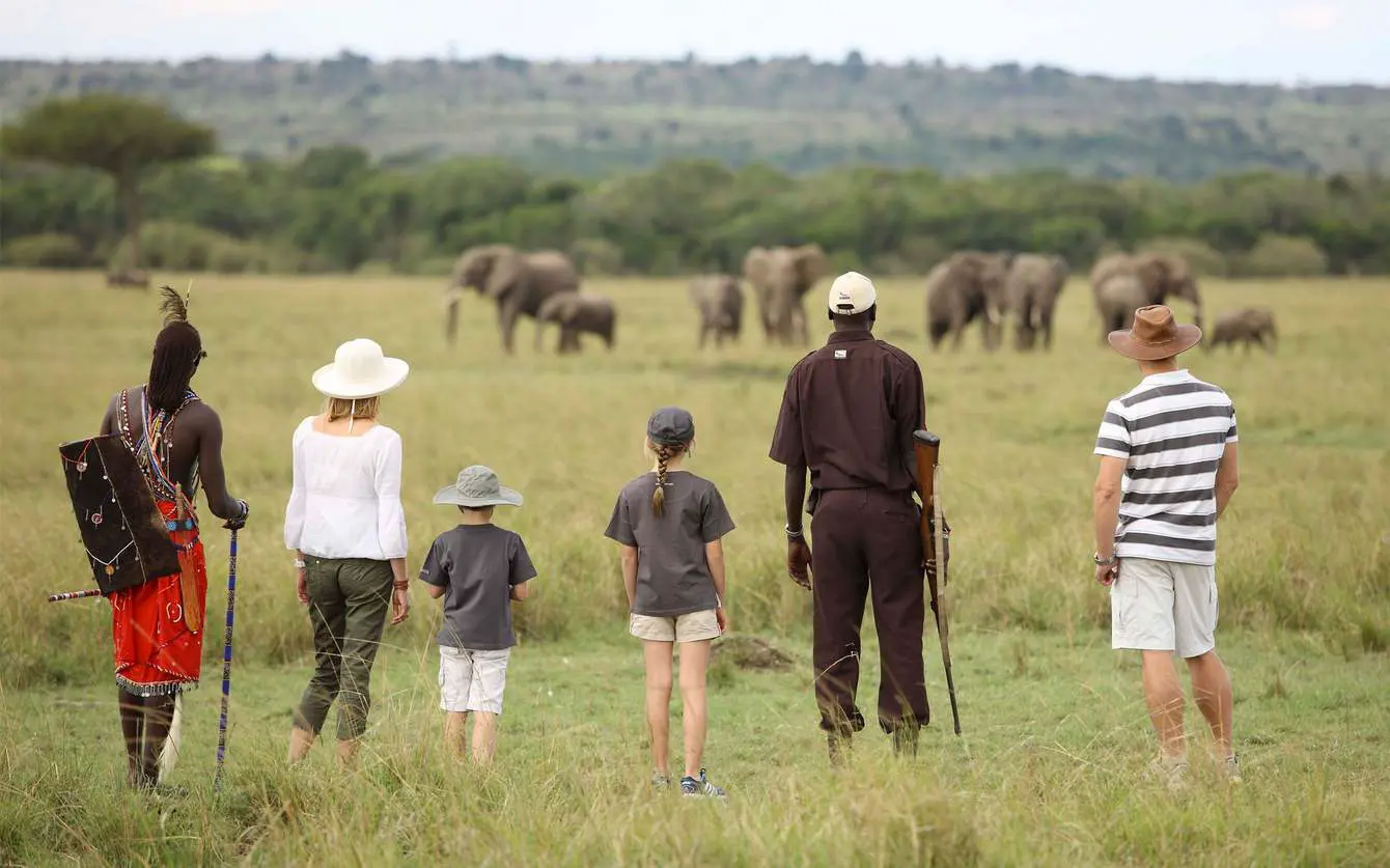 Walking safari tips africa