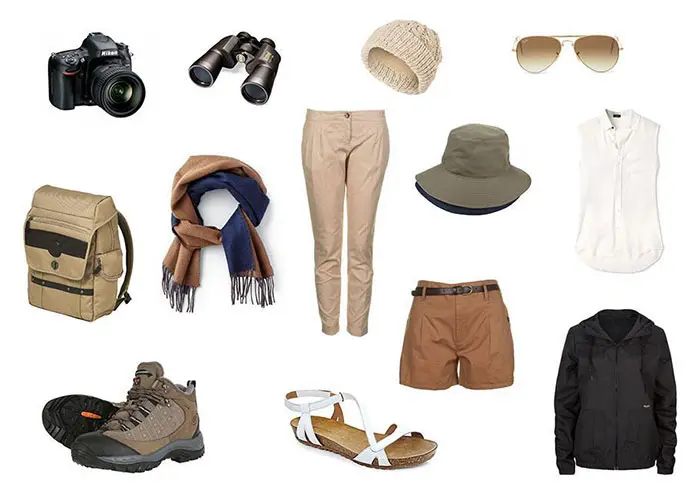 Essential safari equipment (6)