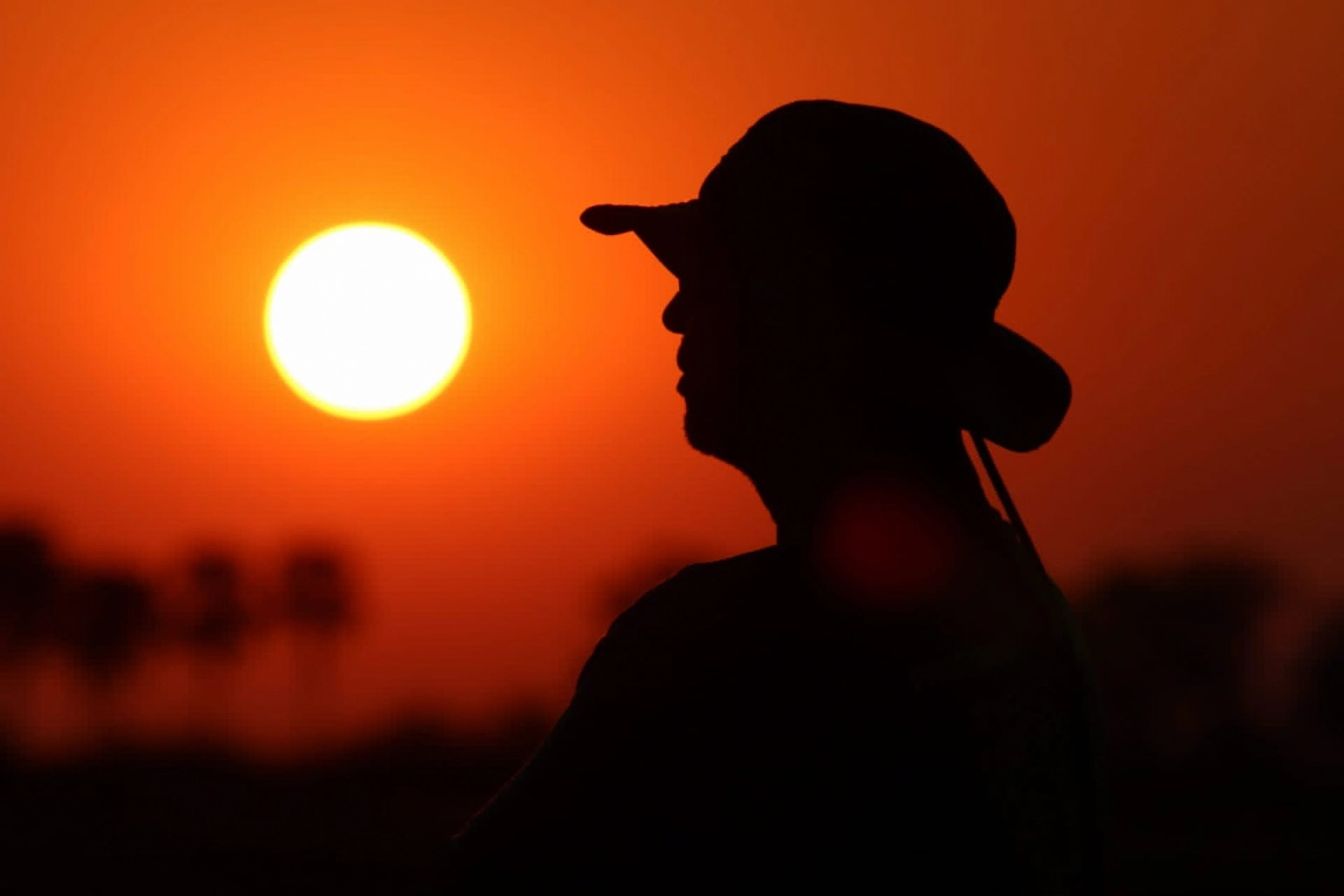 Alex Freire Guia de Safaris