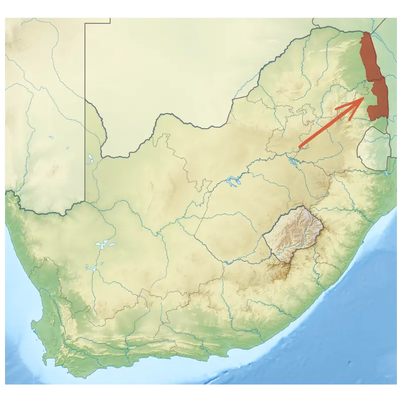 Alex Freire Guia em Português