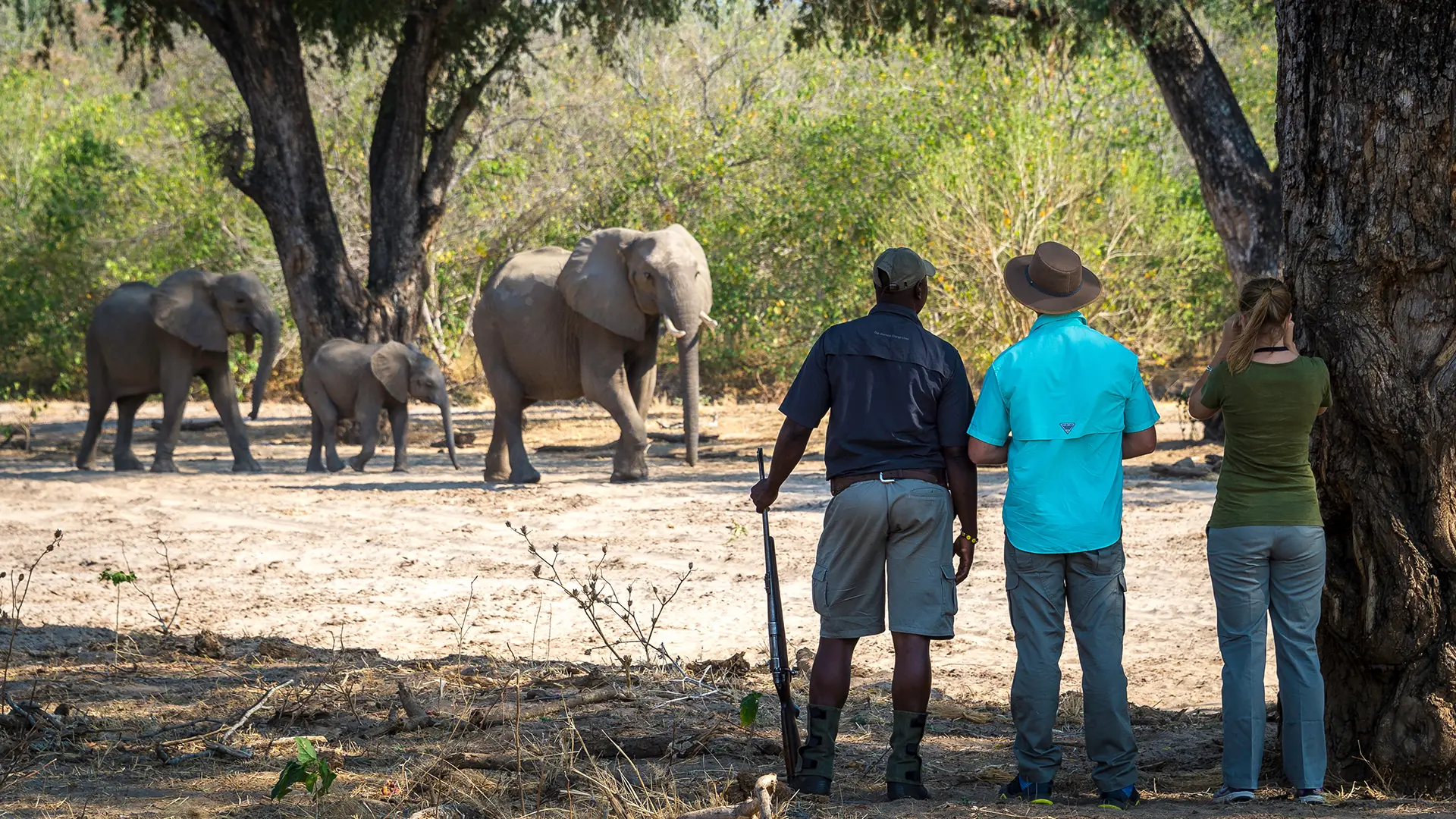 Mana Pools Safari
