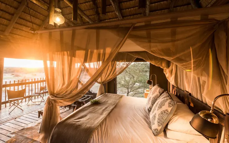 Safári na África do Sul: quanto custa e como é na prática