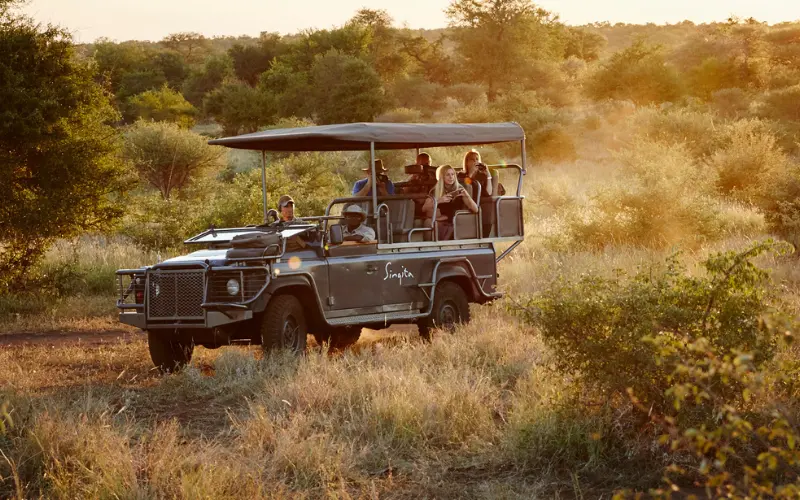 Safári na África do Sul: quanto custa e como é na prática