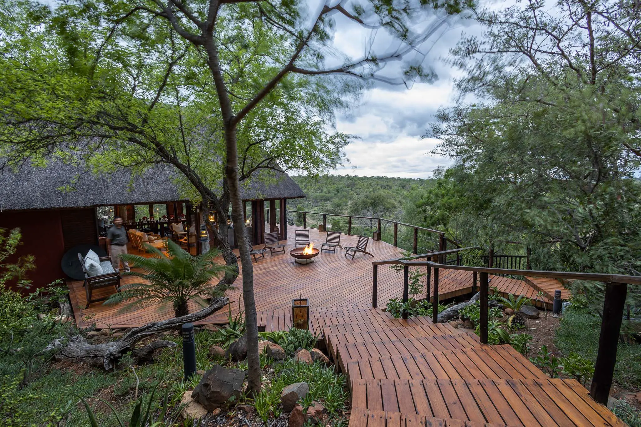 Safári na África do Sul: quanto custa e como é na prática