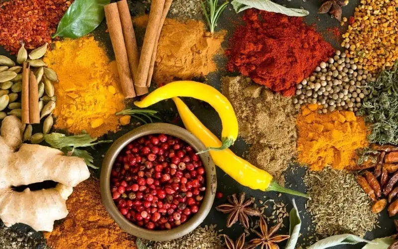 Safári na Tanzânia & Zanzibar