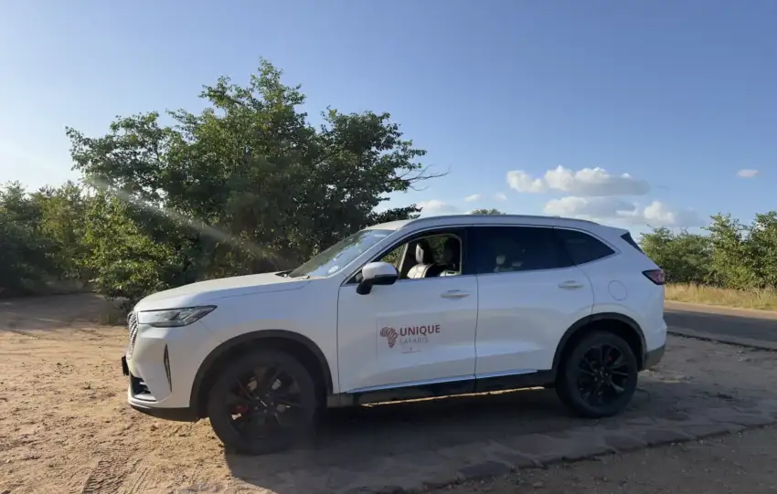 Self drive Safari 2048x1536