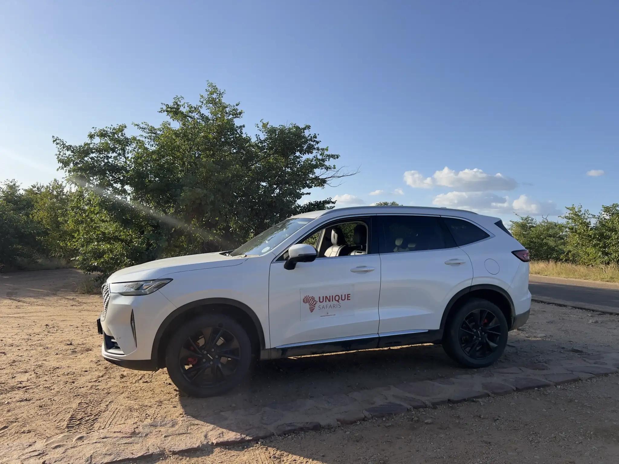 Self drive Safari 2048x1536