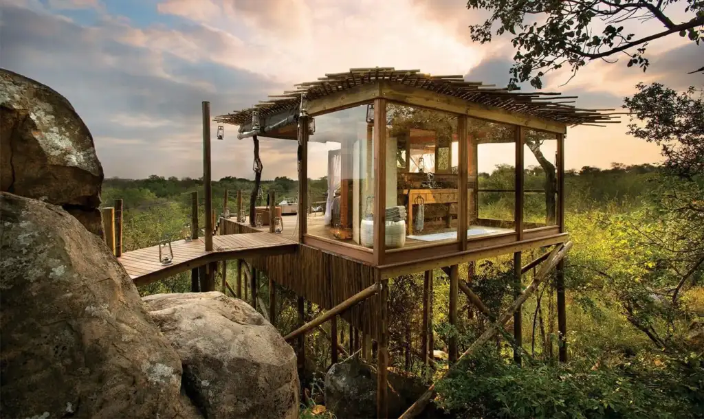 Tree House Lion Sands