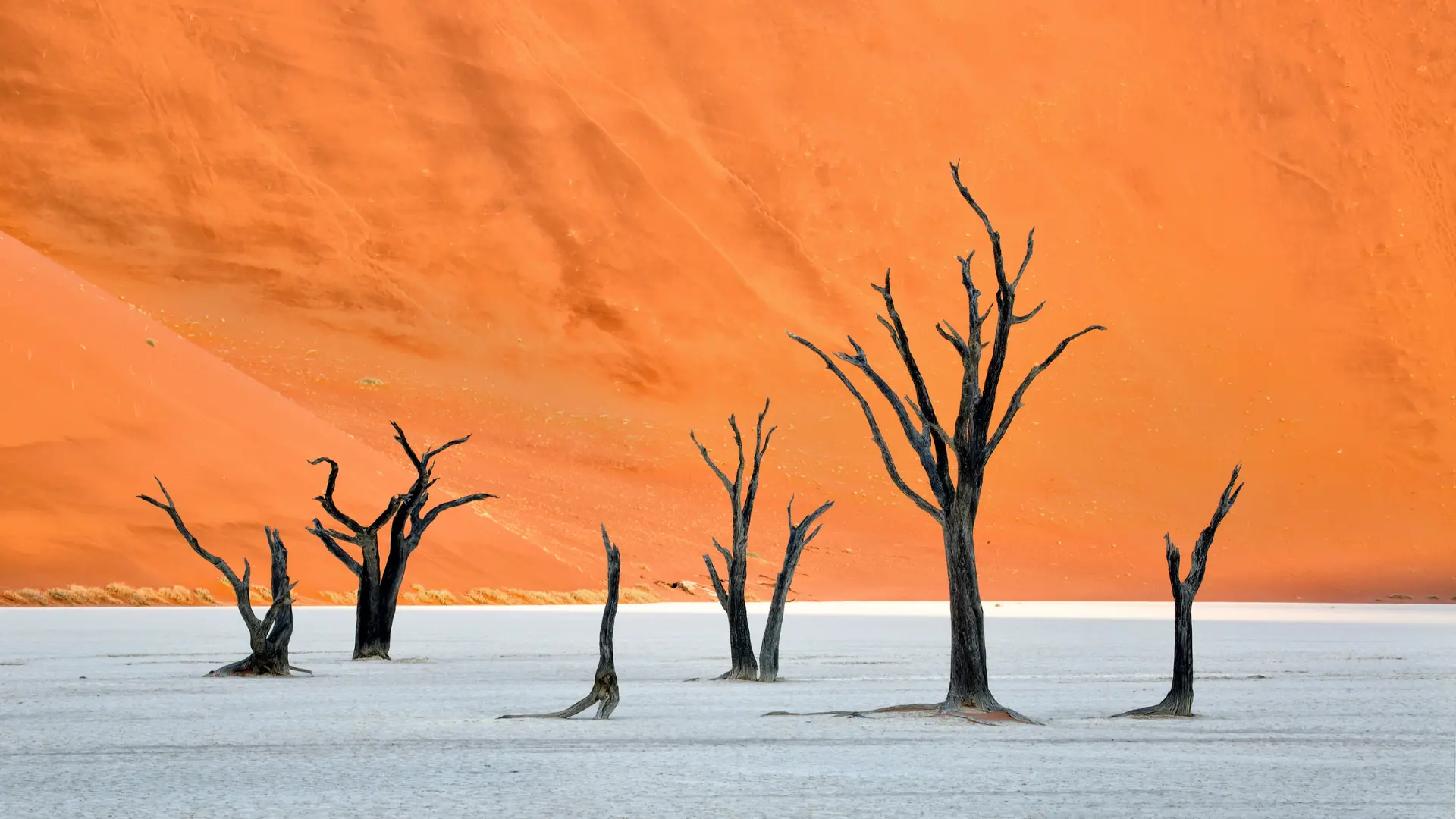 Unique Safaris Tours Namibia Explorer