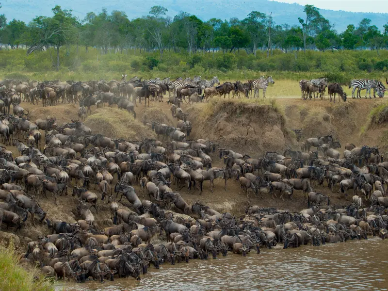Alex Freire Roteiros