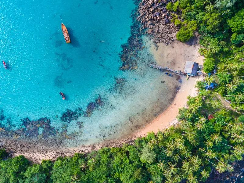 Alex Freire Roteiros