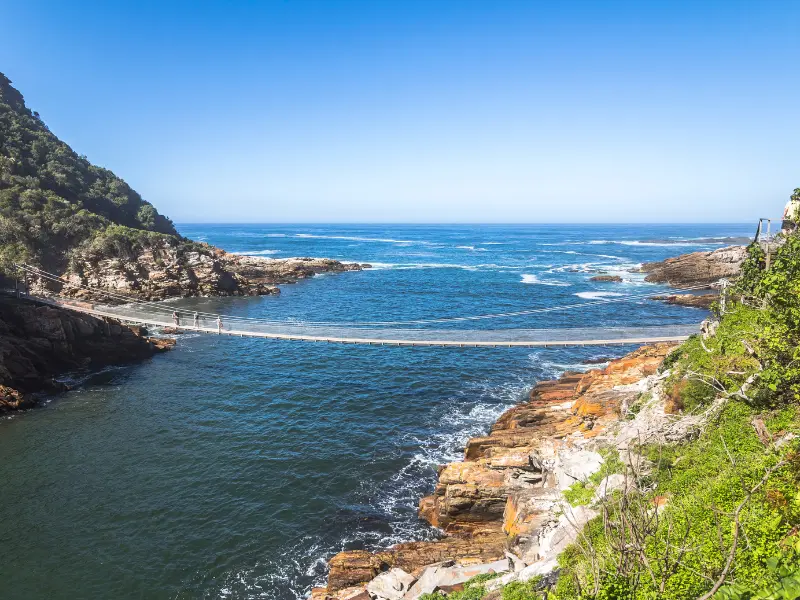 Alex Freire Roteiros