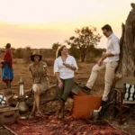 Checklist do safári: o que levar na mala e como se vestir para um safári