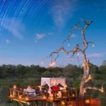 O Que É Realmente um Safari de Luxo na África