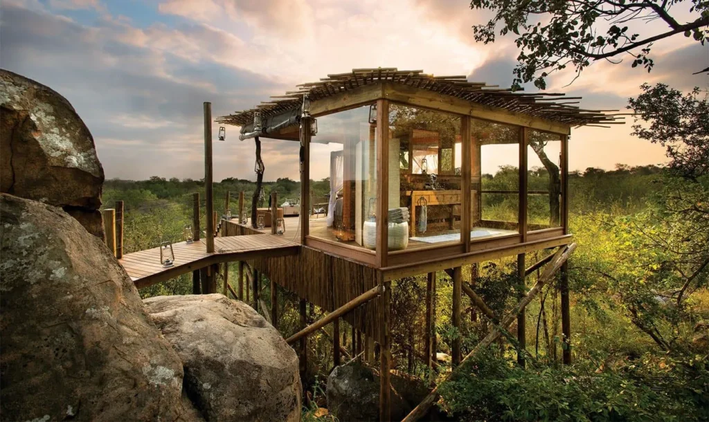 Tree House Lion Sands