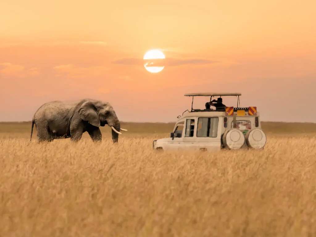 Elefante na savana perto de Jipe de Safari