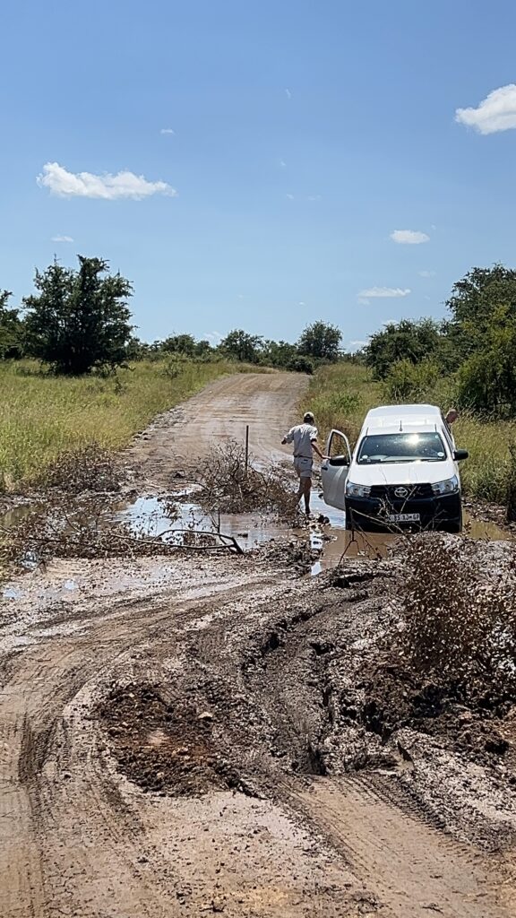 Veículo de safári branco em caminho desafiador de lama e areia durante estação chuvosa, com vegetação verde ao fundo