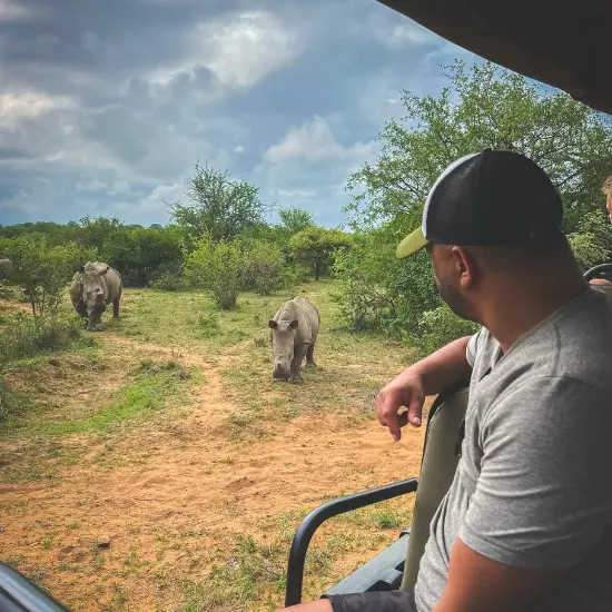 Dell Lima observando rinocerontes de perto no jipe durante safari em português no Kruger