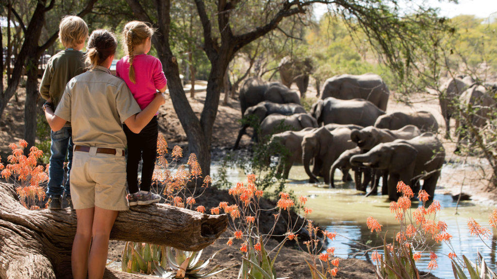 Guia de safári com grupo de turistas observando elefante bebendo água em poço natural, rodeados por grama verde exuberante