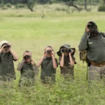 Guia de safári com crianças e adultos alinhados usando binoculos para observar e identificar vida selvagem em savana verde