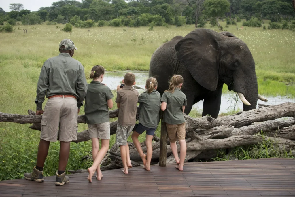 Guia de safári com grupo de turistas observando elefante bebendo água em poço natural, rodeados por grama verde exuberante