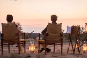 Pessoas sentadas em cadeiras observando girafa ao pôr do sol na savana, com silhuetas contra céu cor de ouro e rosa