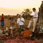 O que Levar para um Safári na África