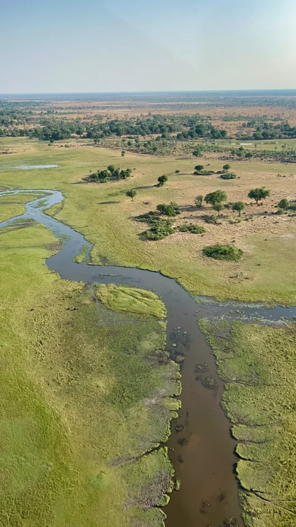 Vista aérea de rio sinuoso serpenteando através de savana com campos verdes e marrom, mostrando paisagem natural e ecossistema exuberante